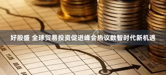 好股盛 全球贸易投资促进峰会热议数智时代新机遇